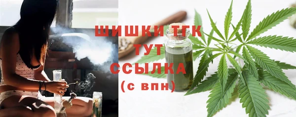индика Вязьма