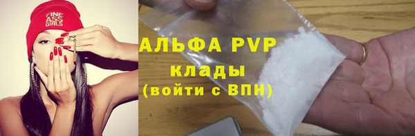 индика Вязьма