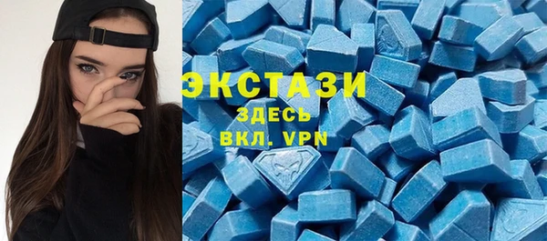 индика Вязьма
