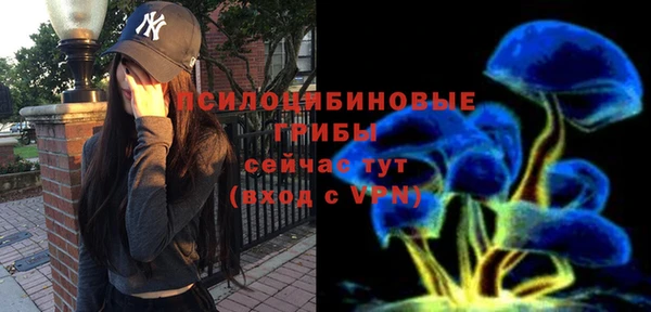 индика Вязьма