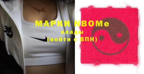индика Вязьма