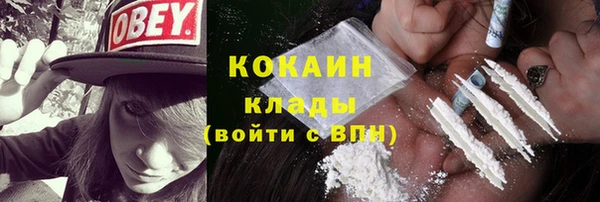 ГАЛЛЮЦИНОГЕННЫЕ ГРИБЫ Вяземский