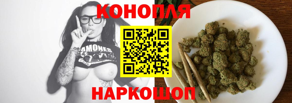 Бошки марихуана марихуана Ноябрьск